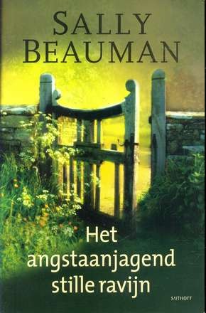 Het angstaanjagend stille ravijn - Sally Beauman