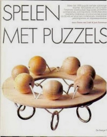 Spelen met puzzels - Pieter van Delft