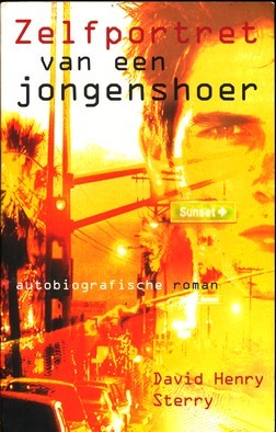Zelfportret van een jongenshoer - David Henry Sterry