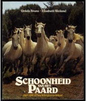 Schoonheid van het paard - Ursula Bruns & Elisabeth Weiland