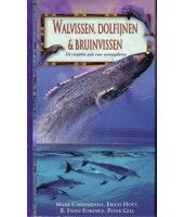 Walvissen, dolfijnen & bruinvissen - Mark Carwardine, e.a.