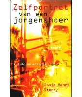 Zelfportret van een jongenshoer - David Henry Sterry